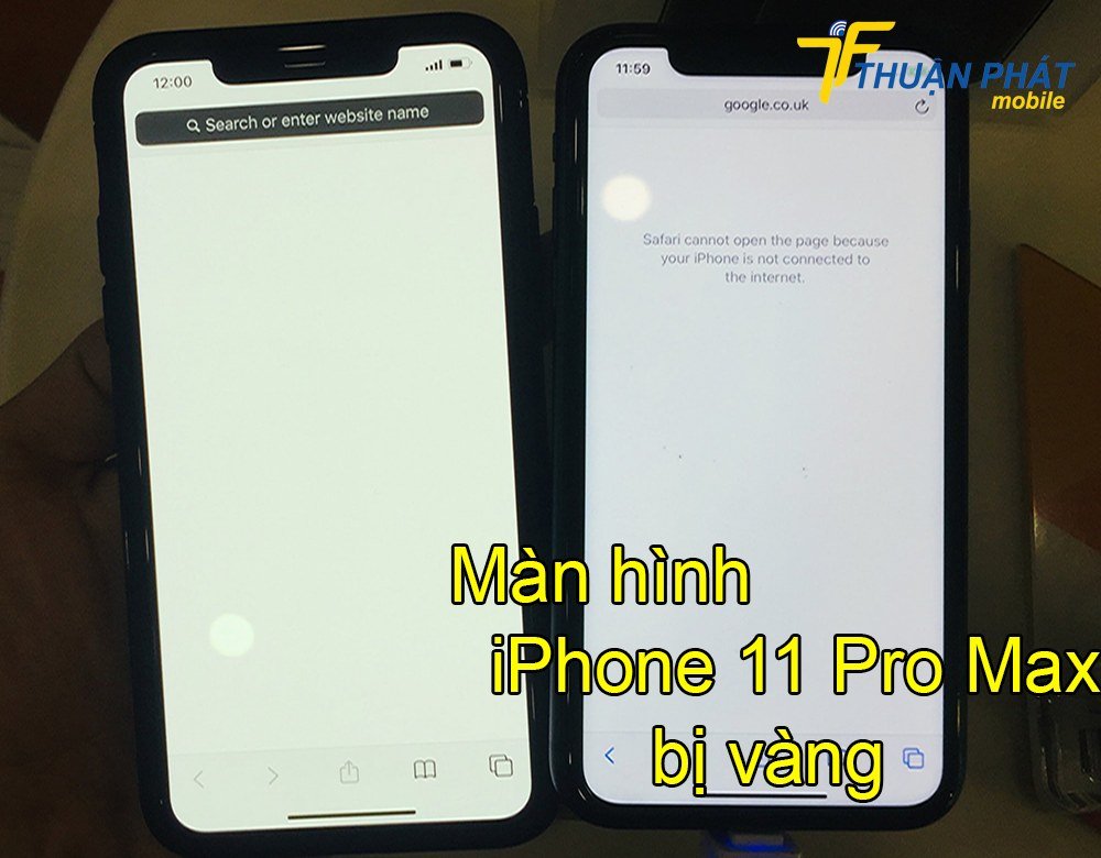 Màn hình iPhone 11 Pro Max bị hỏng